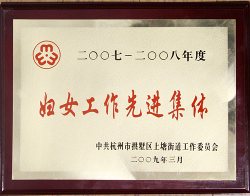 妇女事情先进整体