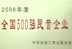 2006度天下500强民营企业