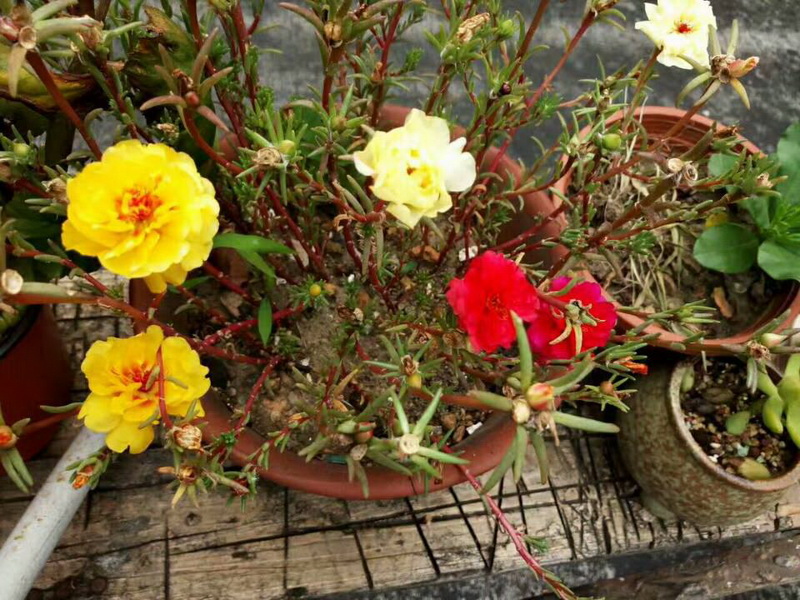 南宫NG28娱乐(中国集团)官方网站