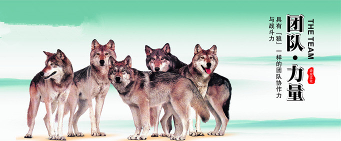 南宫NG28娱乐(中国集团)官方网站