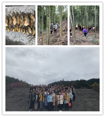 南宫NG28娱乐(中国集团)官方网站