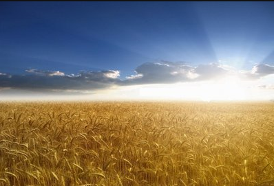 南宫NG28娱乐(中国集团)官方网站