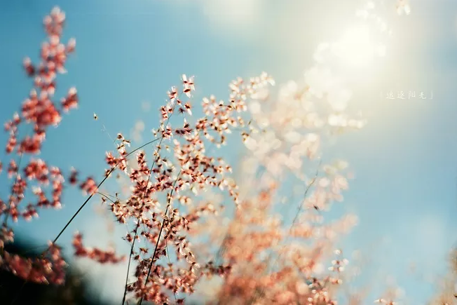 南宫NG28娱乐(中国集团)官方网站