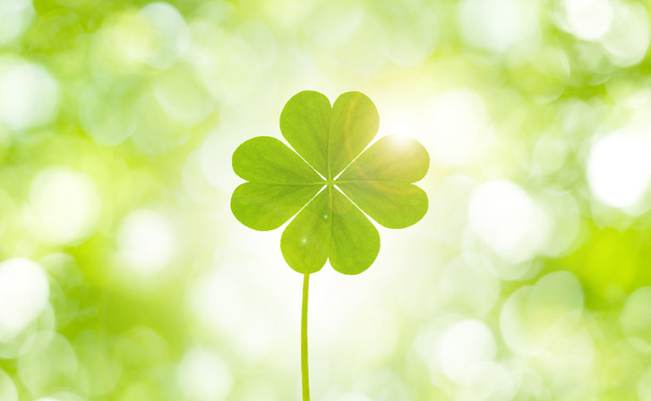 南宫NG28娱乐(中国集团)官方网站