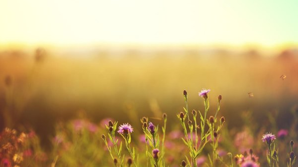 南宫NG28娱乐(中国集团)官方网站