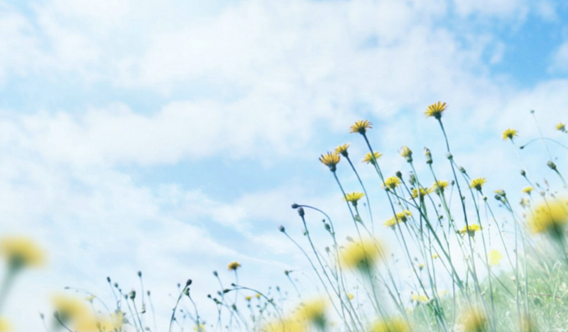 南宫NG28娱乐(中国集团)官方网站