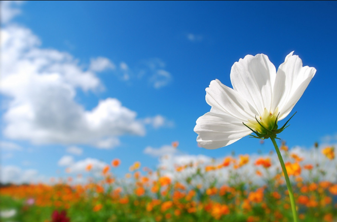 南宫NG28娱乐(中国集团)官方网站