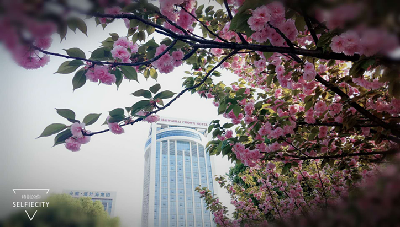 南宫NG28娱乐(中国集团)官方网站