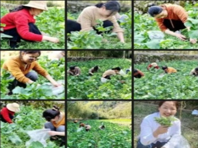 南宫NG28娱乐(中国集团)官方网站